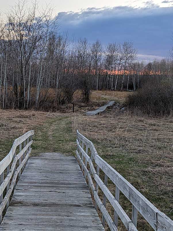 Boardwalk at Sand Prairie WMA