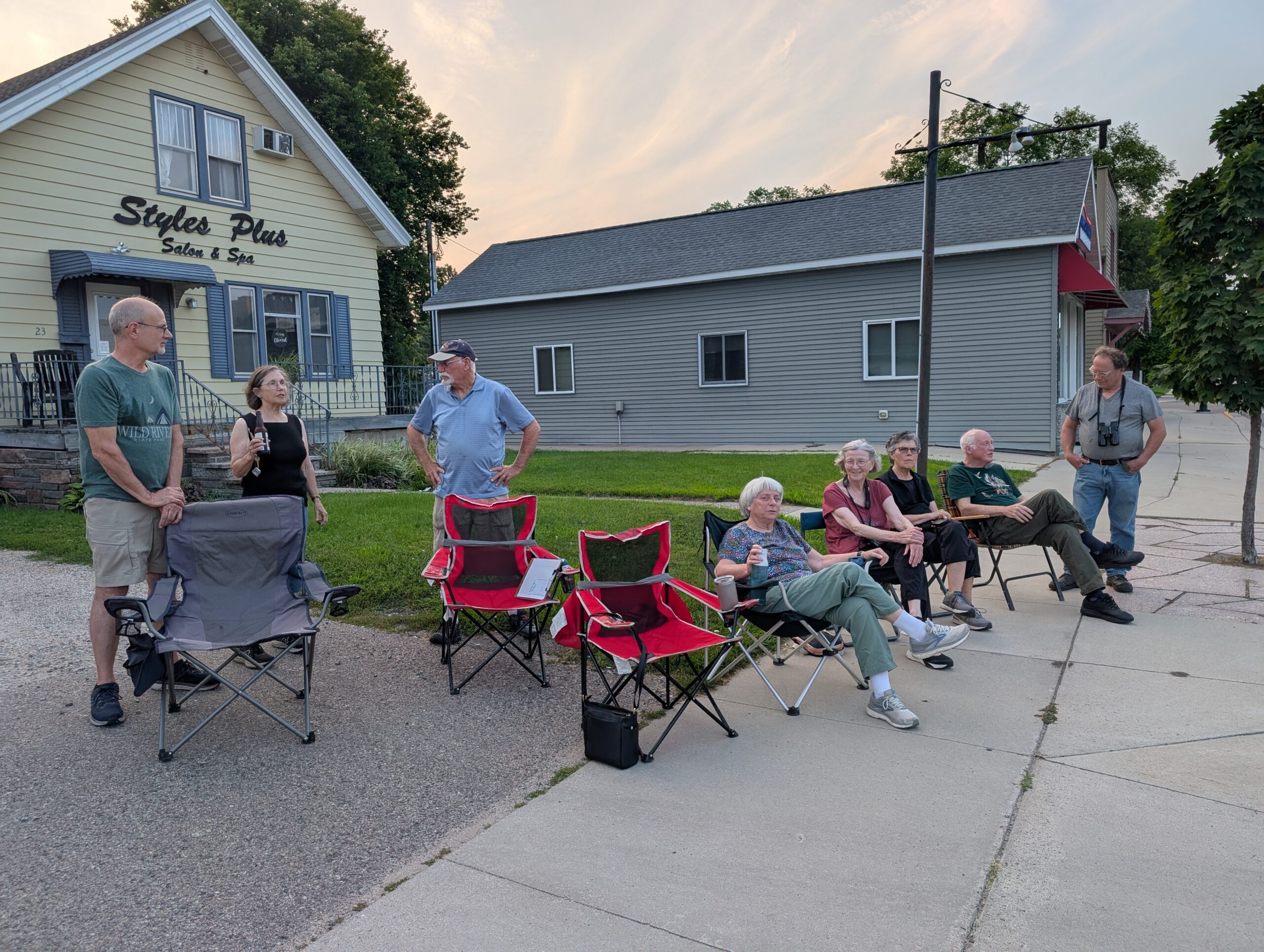 Chimney Swift Night Out