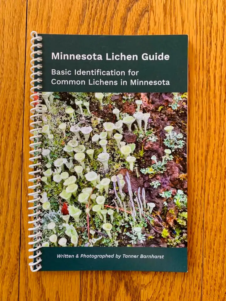 CMAS Meeting: Lichens of Minnesota