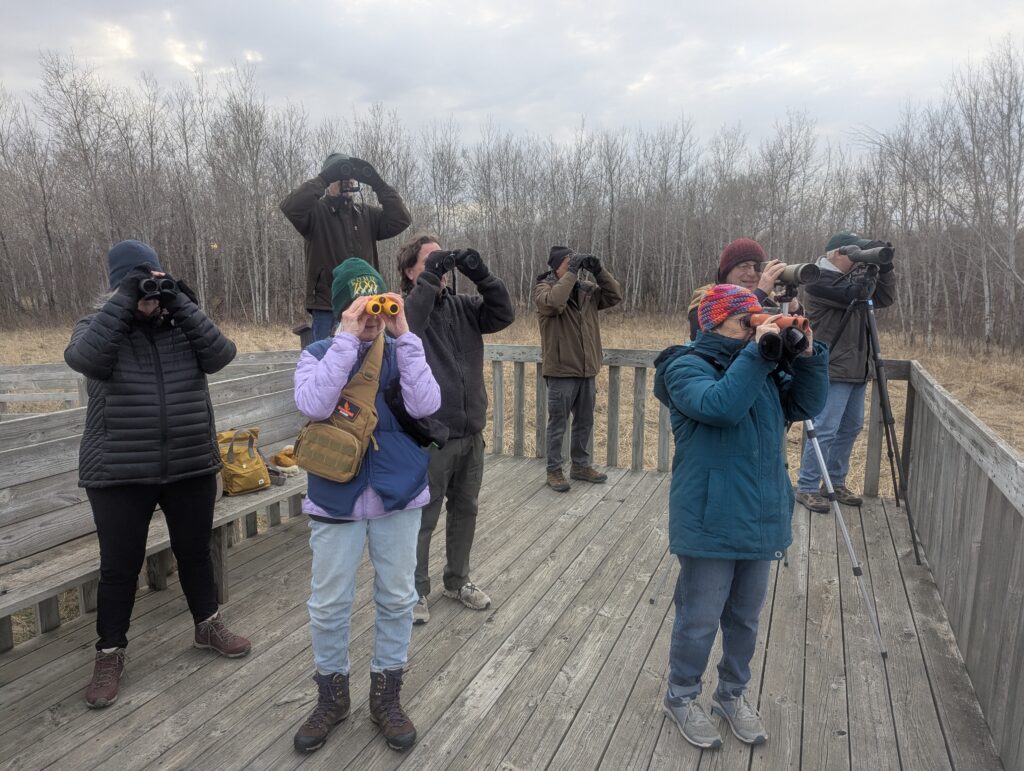 Woodcock Outing- Sand Prairie WMA