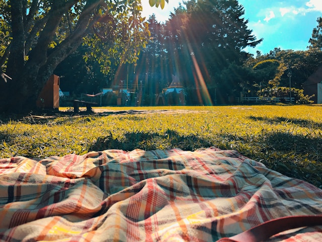 Annual Picnic at the Peck Farm