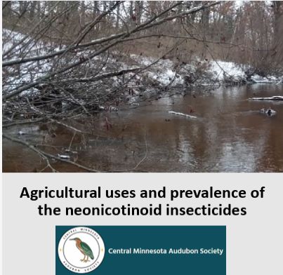 Neonic Prevalence & Effects